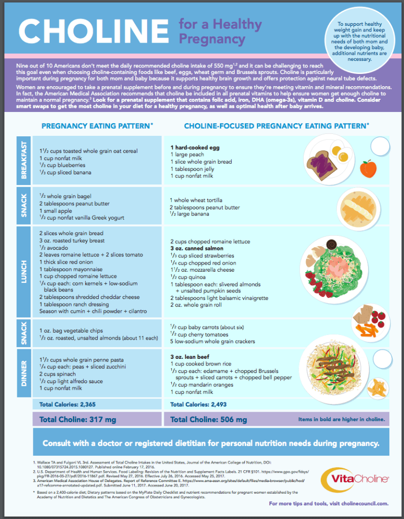 Choline for Healthy Pregnancy