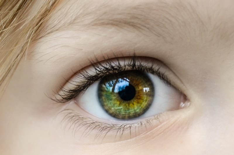 What to Do If You Want to Have Healthy Eyes