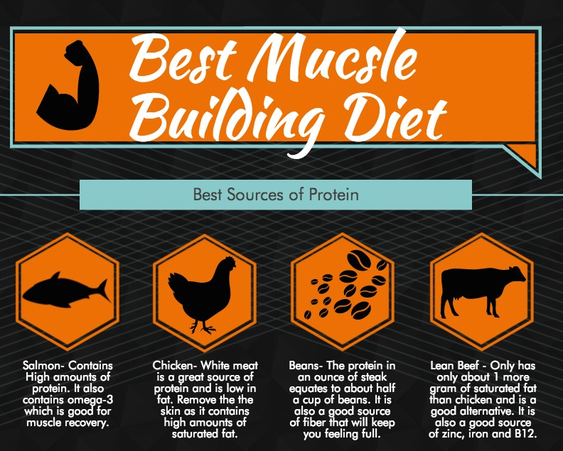 Best Muscle Building Diet