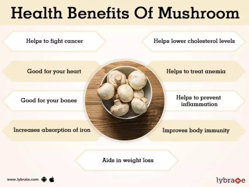 Health Benefits of Mushrooms