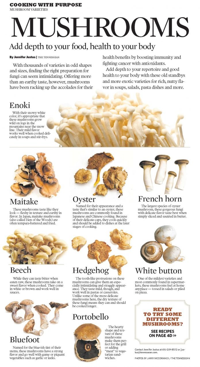 Two Types of Functional Mushrooms