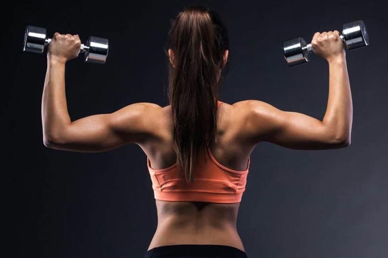 Learning How to Build Muscle for Women