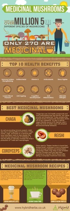 Medicinal Mushrooms