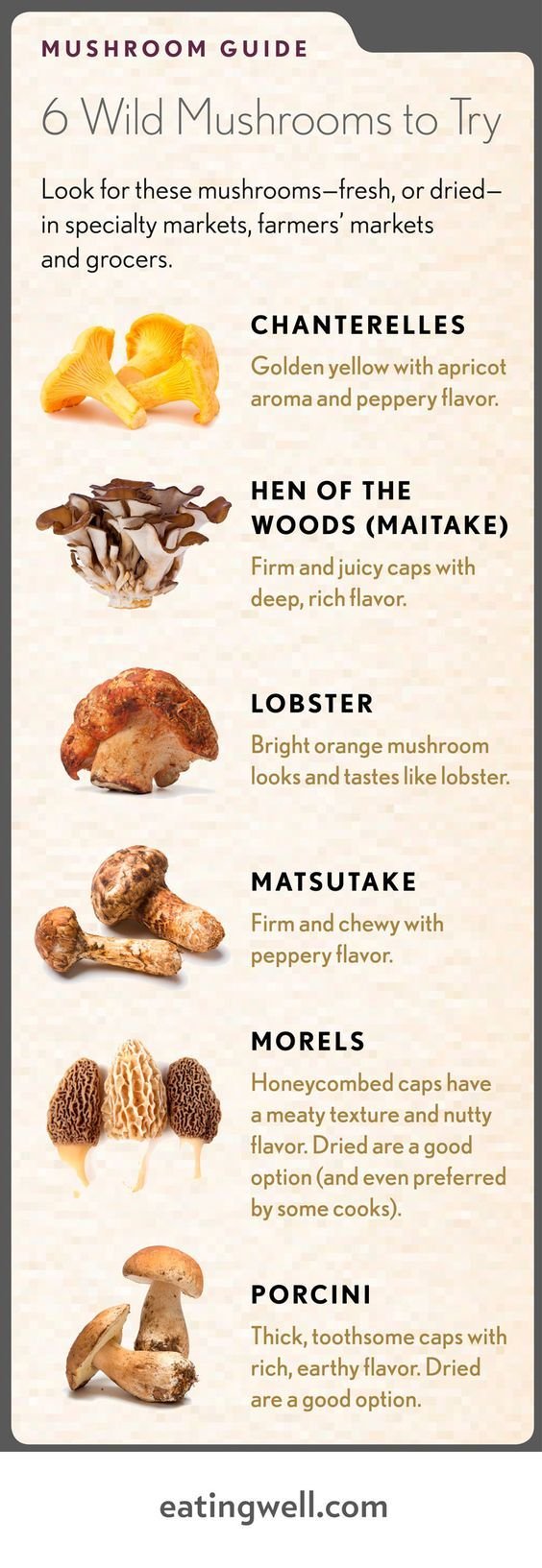 Mushrooms to eat