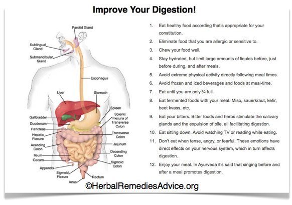 Improve your Digestion