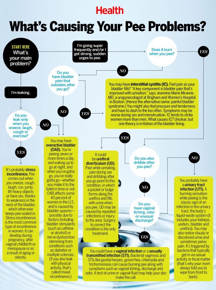 Pee Problems Urine Burning in Women : Causes & Treatment - Women Fitness Magazine