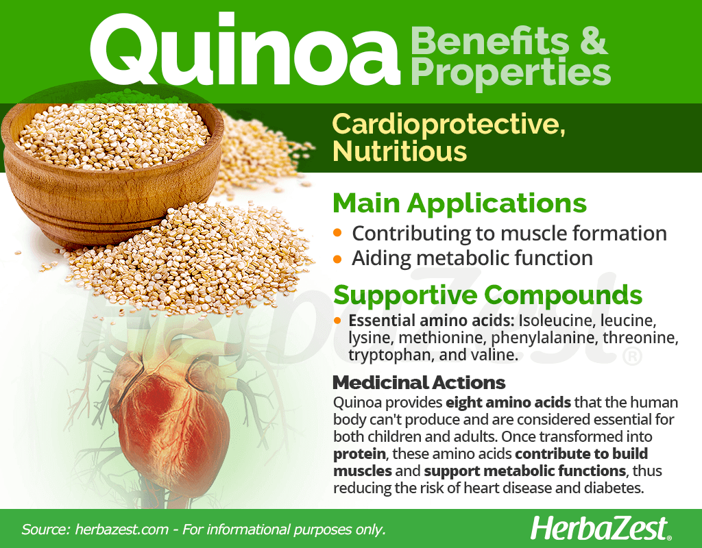 Quinoa Benefits and Properties