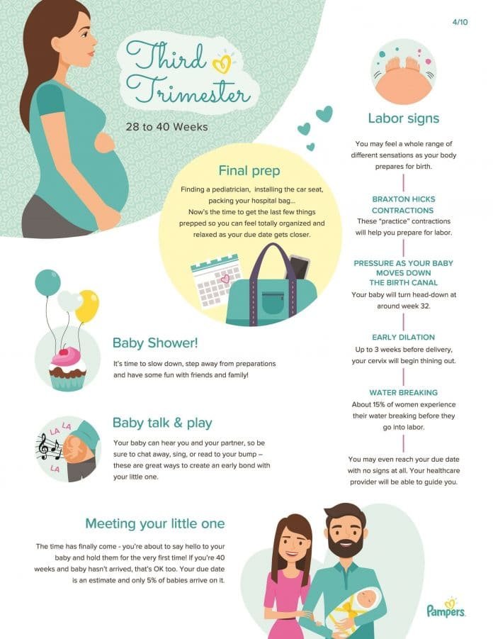 Third Trimester of Pregnancy