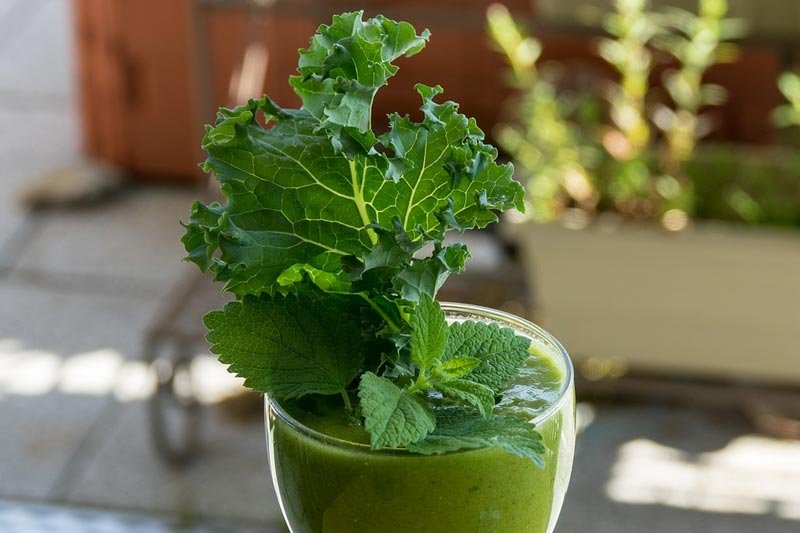 10 Kale Benefits for Skin and Body