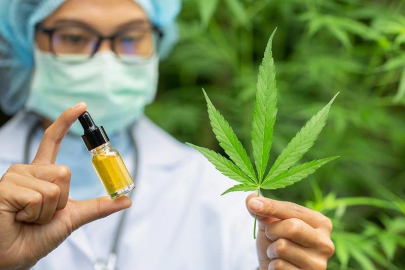 Must To Know Facts About THC Free CBD Oil