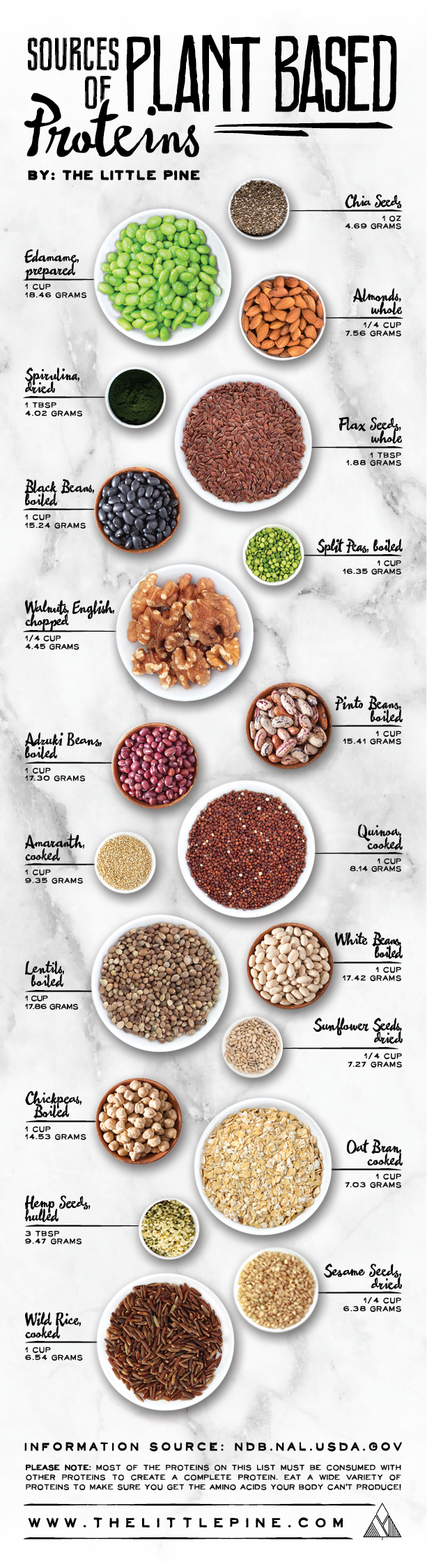 Sources of Plant Based Proteins