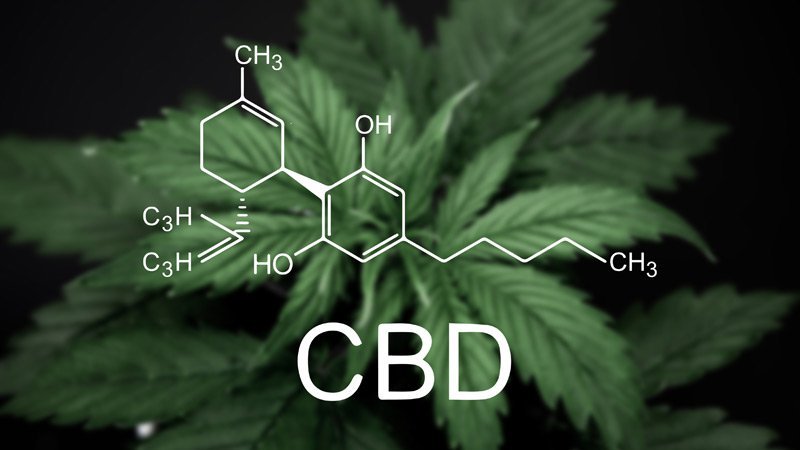 Cannabidiol Marijuana