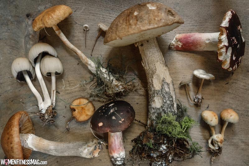 7 Important Reasons To Use Mushroom In Daily Lifestyle