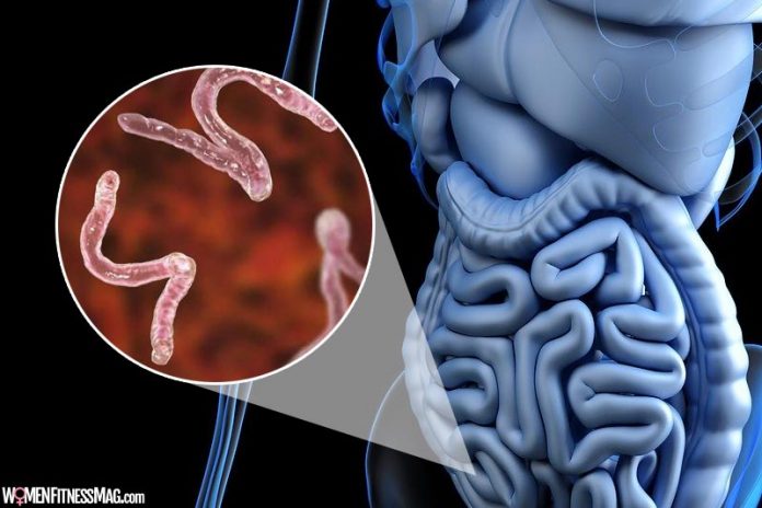This-Is-How-to-Cleanse-Your This Is How to Cleanse Your Body of Parasites