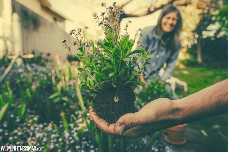 7 Ideal Plants To Grow At Home