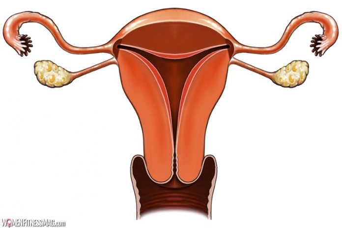 Debunking 7 Biggest PCOS Myths Debunking 7 Biggest PCOS Myths
