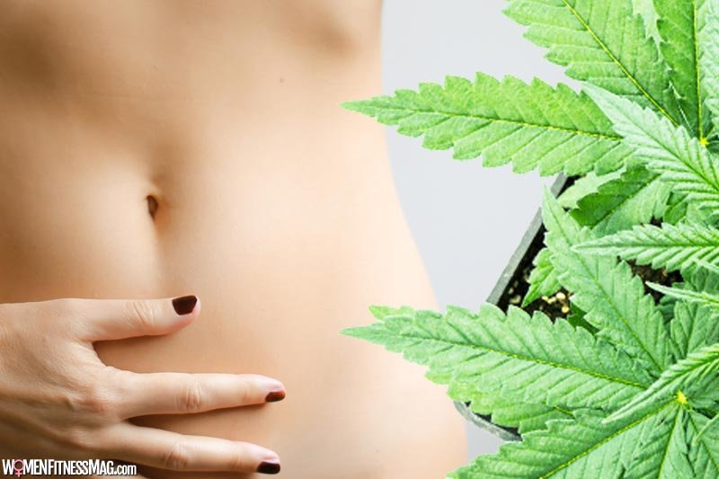 The Second Brain: Examining the Link Between CBD and Gut Health