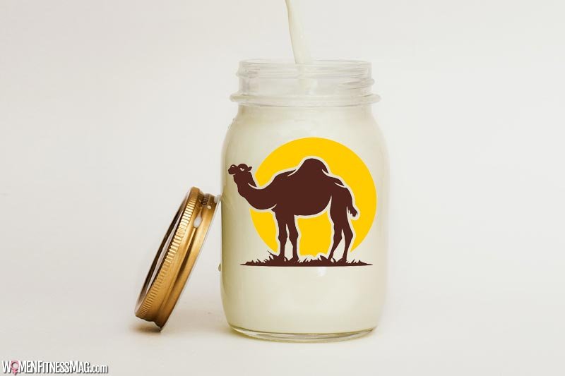 Reasons Why Camel Milk Is Beneficial for Health