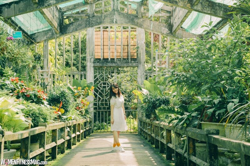 Victorian Greenhouse