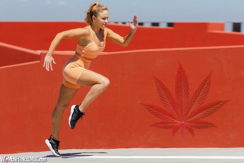 The Science Behind CBD and Physical Performance: Unveiling the Mechanisms at Play