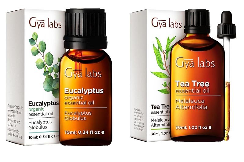 Gya Labs Organic Tea Tree and  Eucalyptus Essential Oil
