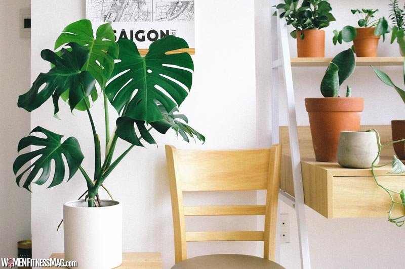 Creating Low-Maintenance Aesthetics: The Rise of Artificial Plants in Interior Design