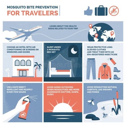 Mosquito Season Alert How To Keep Those Pesky Insects At Bay mosquito-season-alert-how-to-keep-those-pesky-insects-at-bay