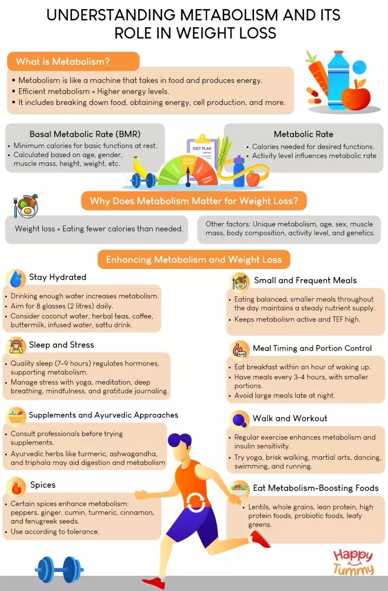 Understanding Metabolism and Its Role in Weight Loss - How to Increase Metabolism