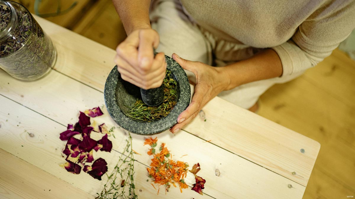 Naturopathic Medicine in San Diego: A Growing Movement in Holistic Care